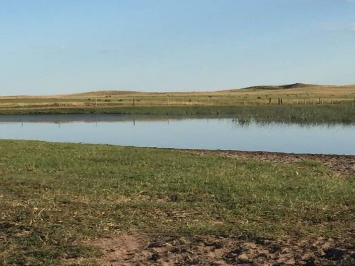 Listing Photo: holt-county-ne-400-acres-pasture (3)